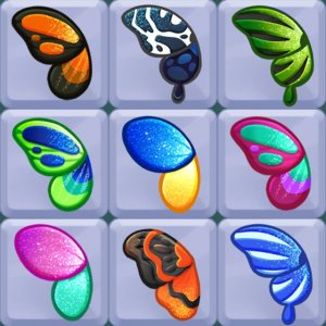 Butterfly Match Rainbow Puzzle