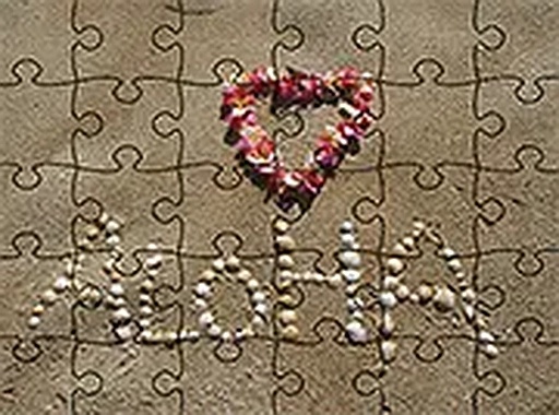 Tropical Shoreline Puzzle