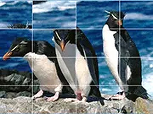 Arctic Slide Puzzle Challenge